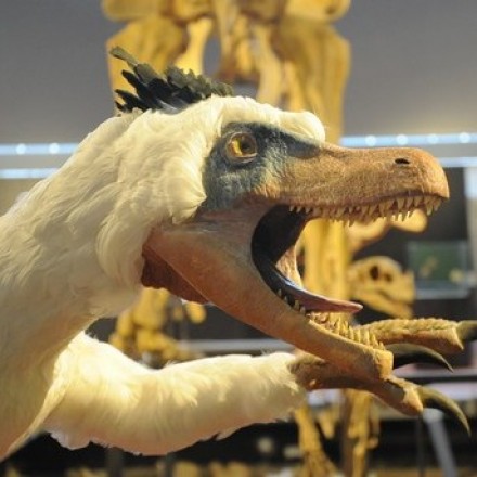 The Espéraza Museum of the Dinosaurs 