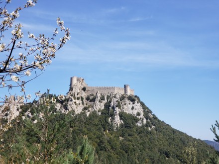 Château de Puilaurens - Puilaurens Castle